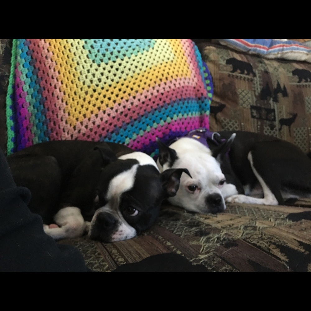 Jamie here - Picture 3 of 8